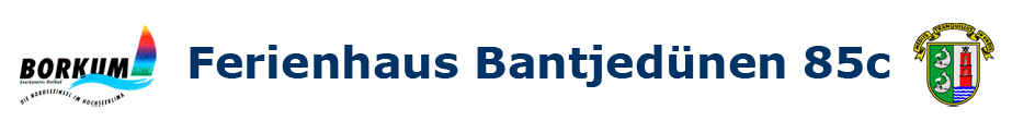 Ferienhaus Bantjedünen 85c